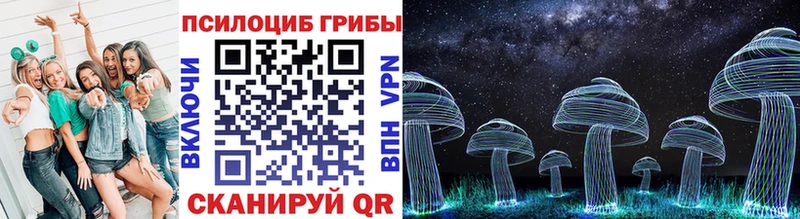 Псилоцибиновые грибы Psilocybe  как найти наркотики  ОМГ ОМГ зеркало  Североуральск 